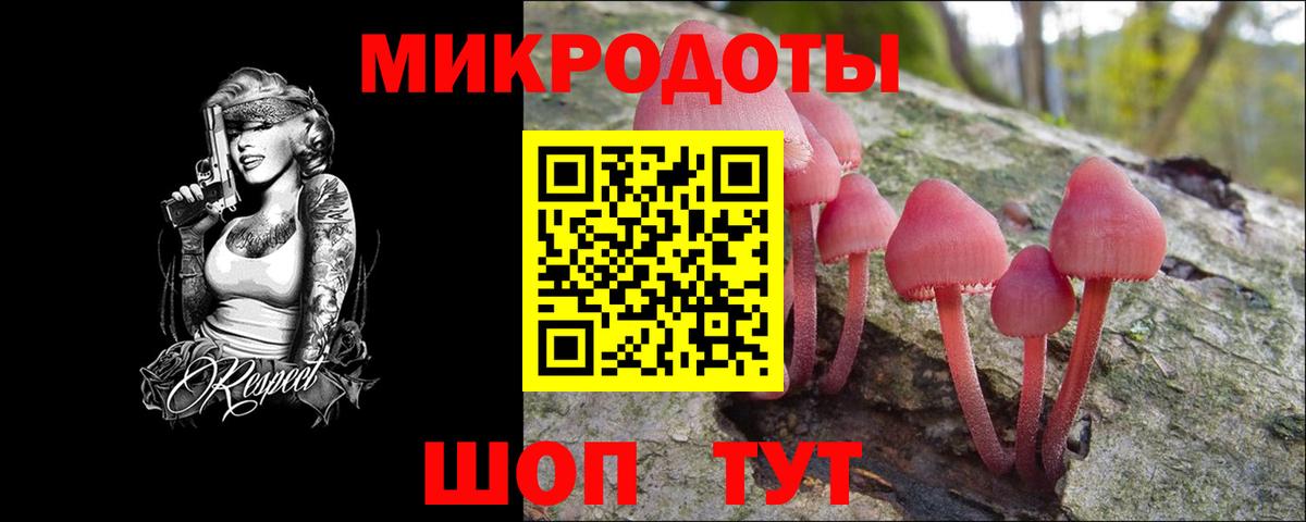 Галлюциногенные грибы Magic Shrooms  Вход с VPN  Заводоуковск 